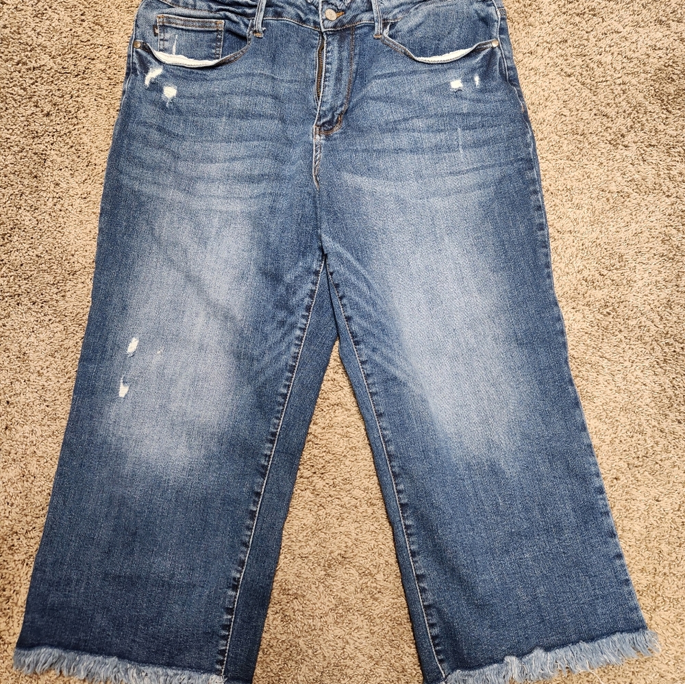 Judy Blue wide leg crops, size 18w